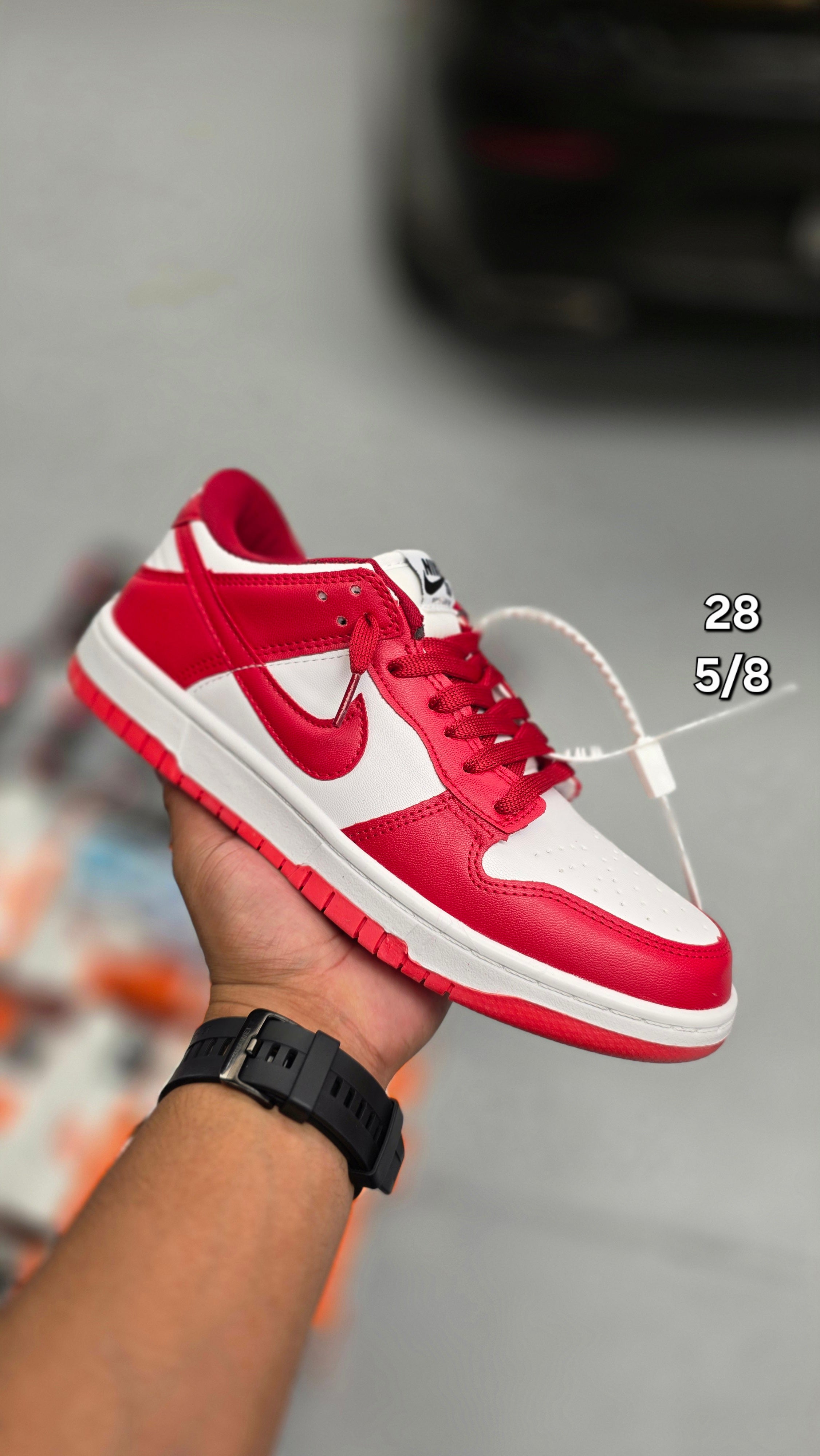 Nike SB Dunk Low