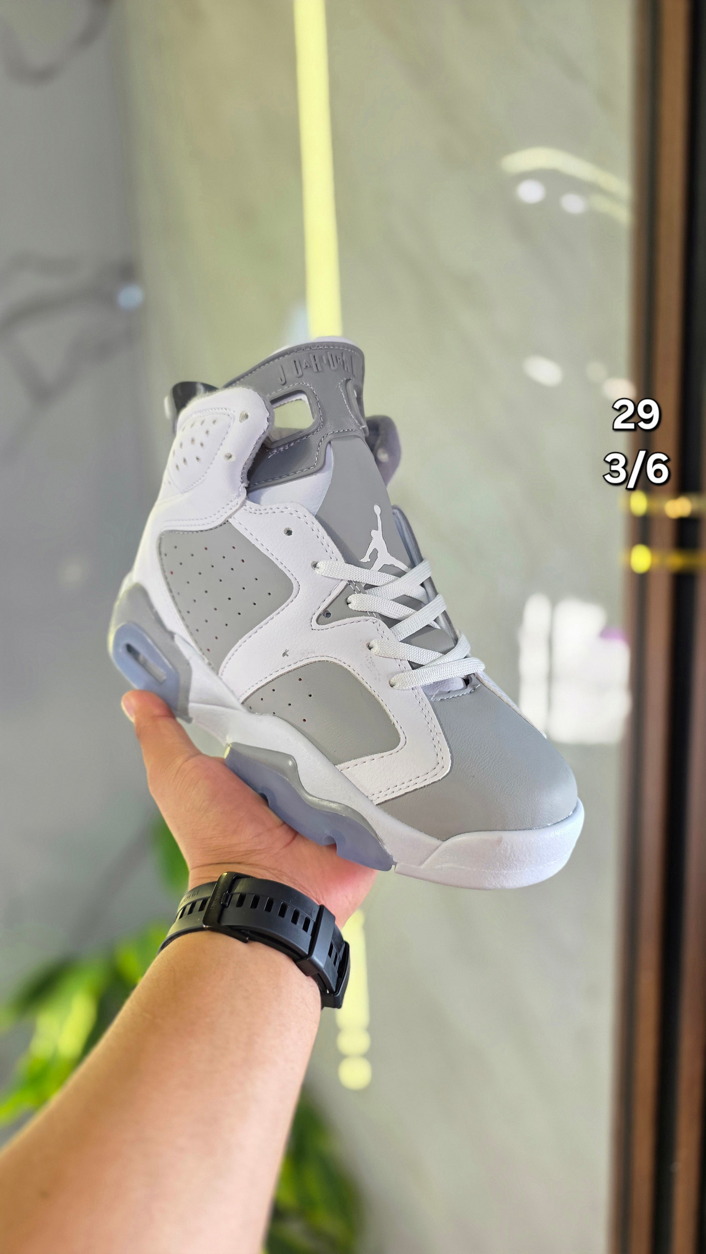 Jordan Retro 6