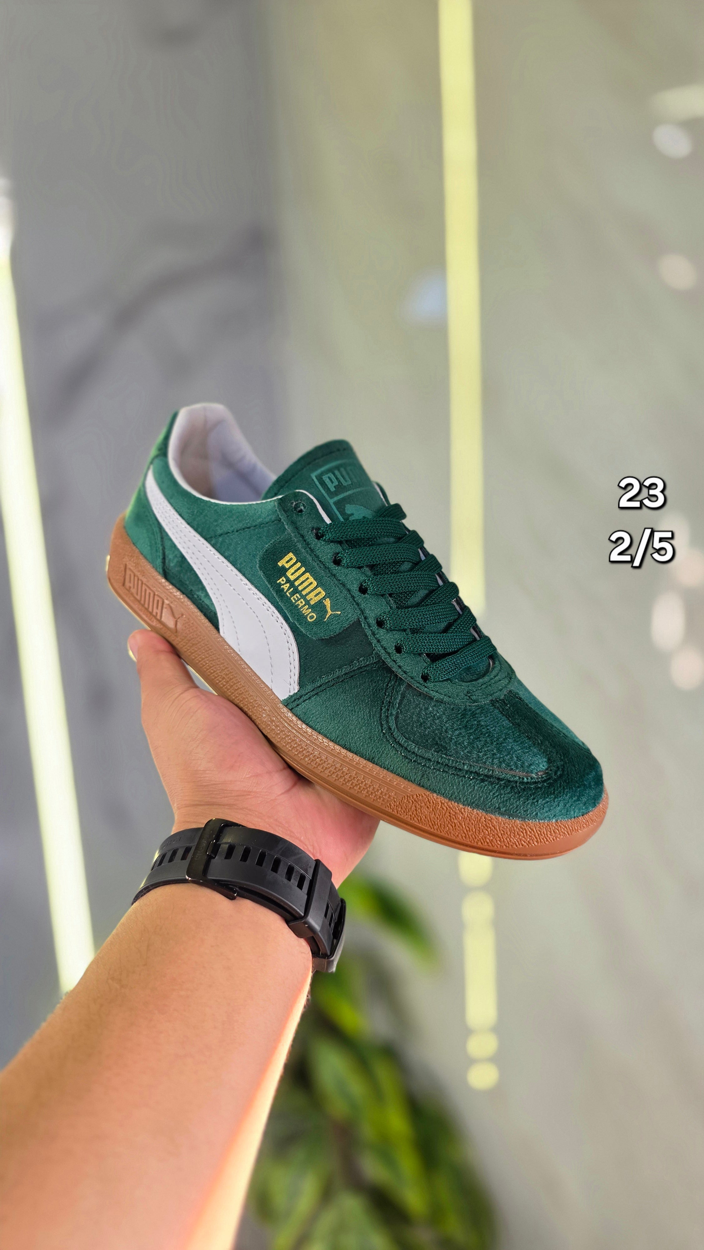 Puma Palermo