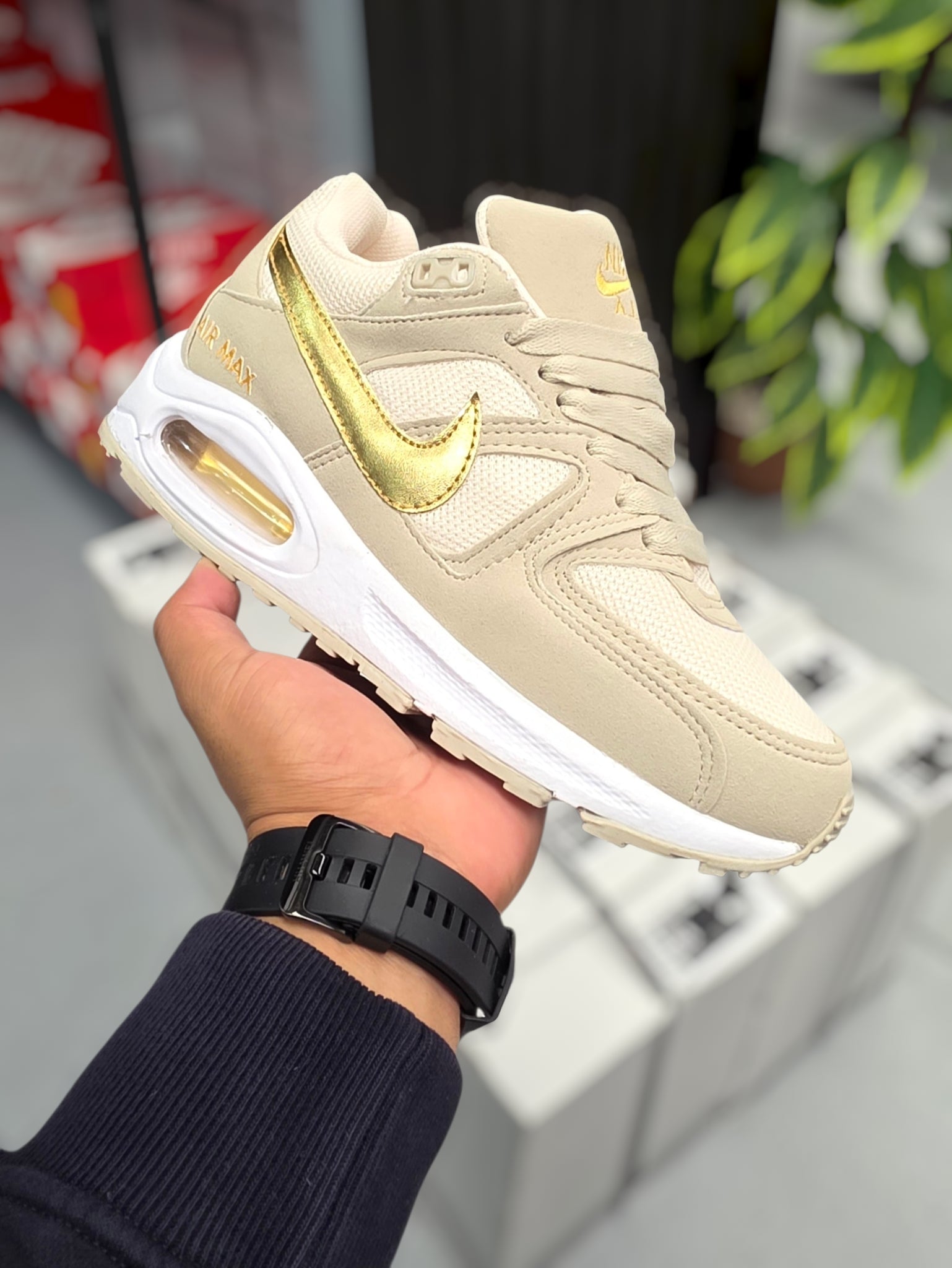 Nike Air Max