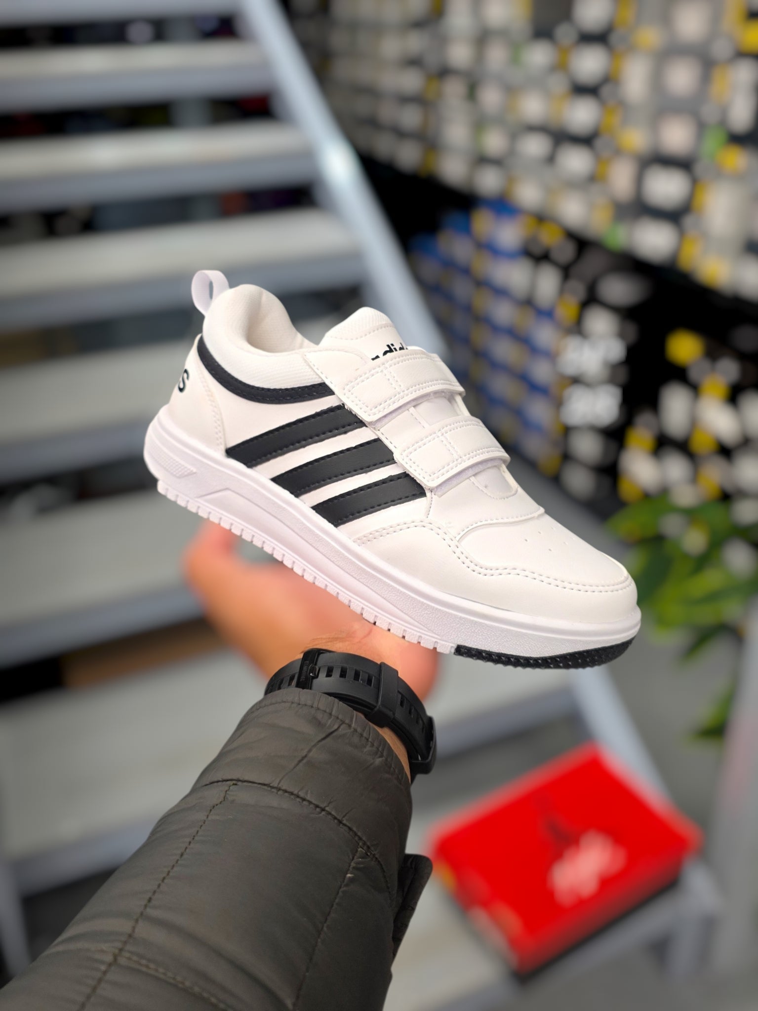 Adidas Hoops