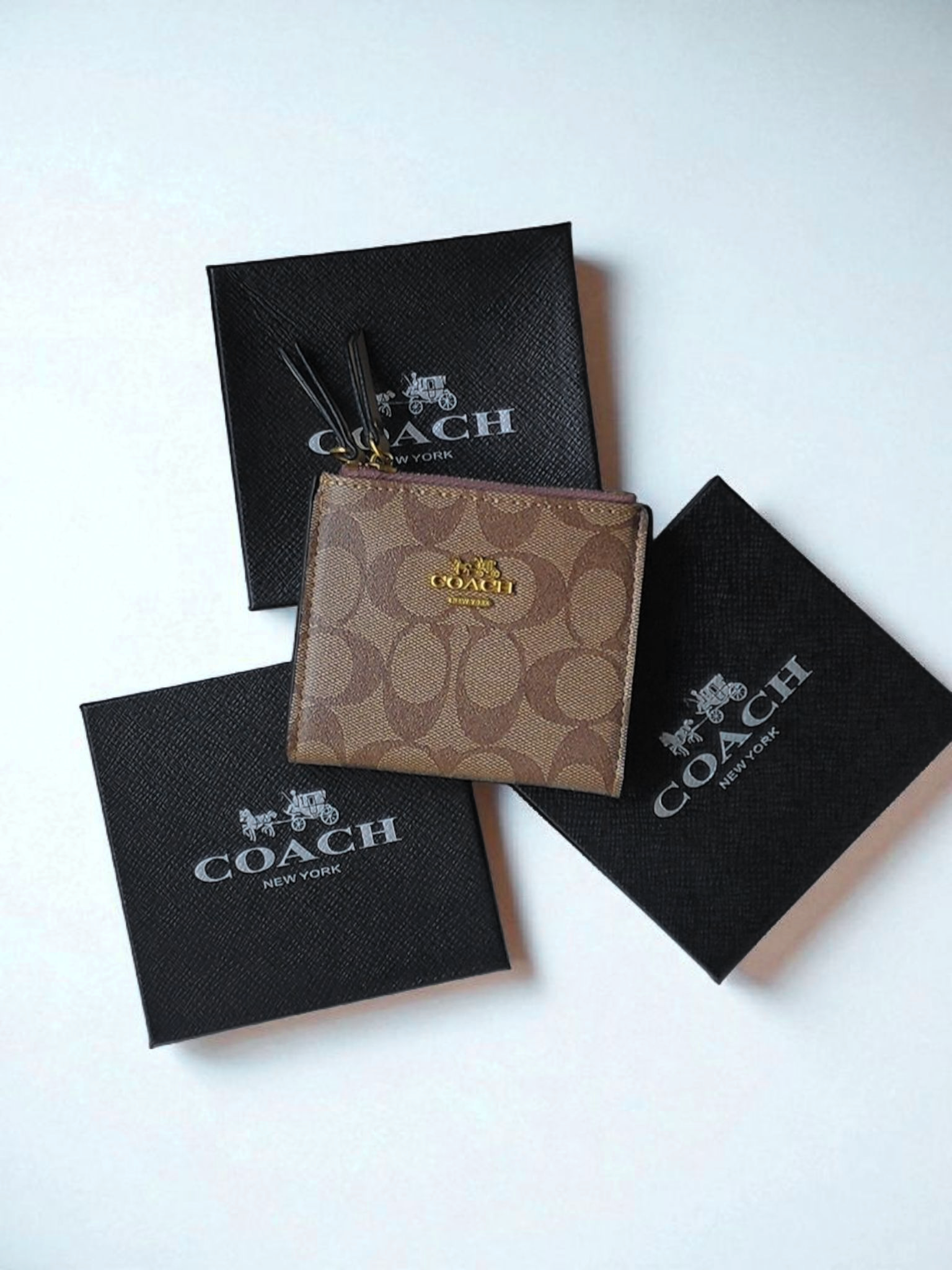 Tarjetero Coach
