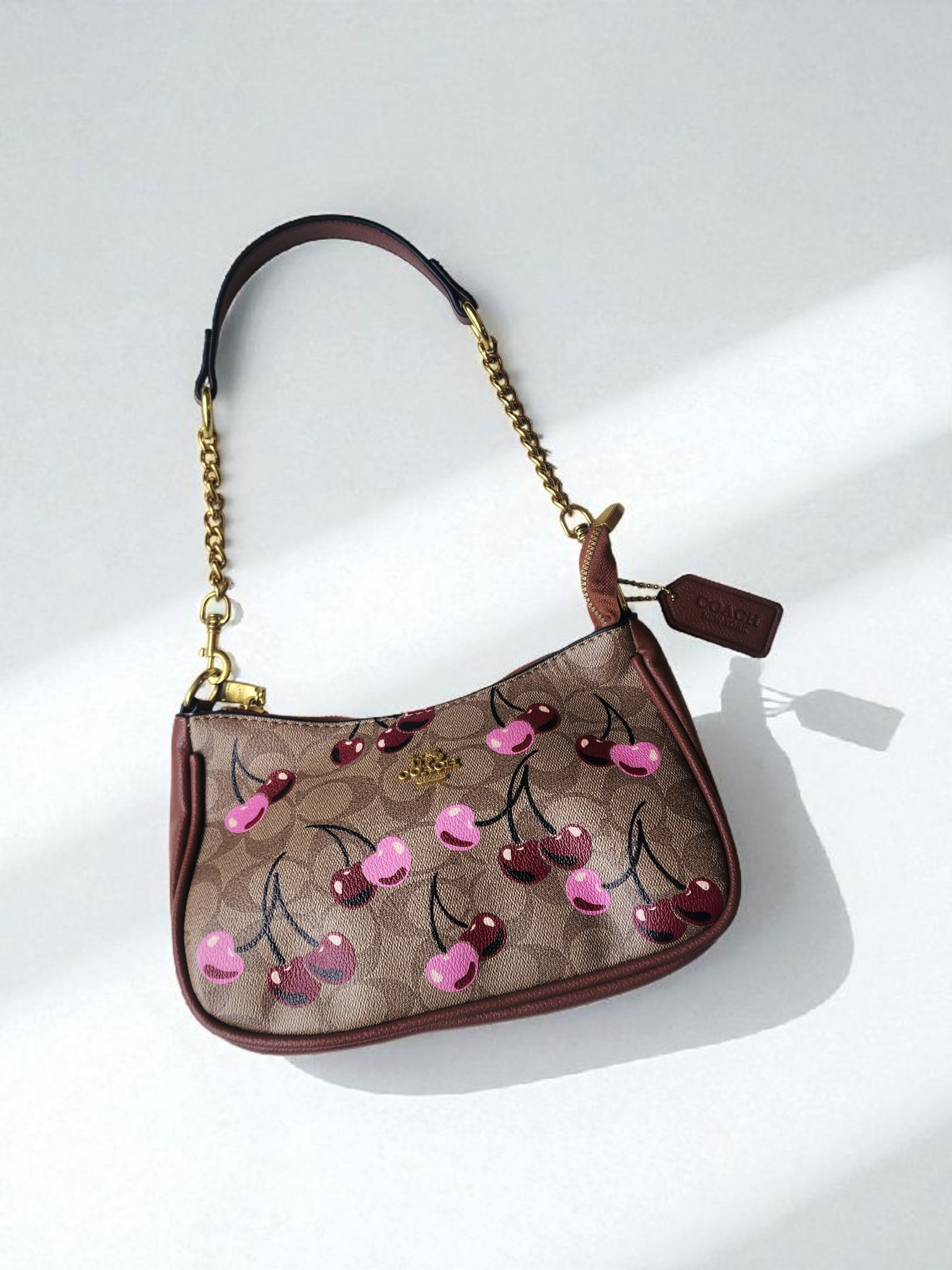 Bolso Coach